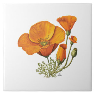 Azulejo california naranja amapola cerámica floral