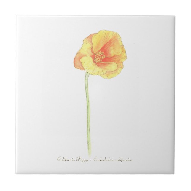 Azulejo California Poppy Stone Coaster (Frente)