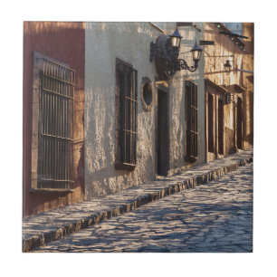 Azulejo Calle de Adoquines en México