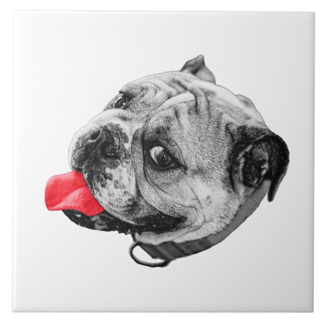 Azulejo Calm Set with Warmth (Frente)