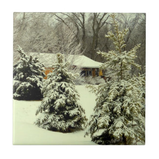 Azulejo Calor del invierno