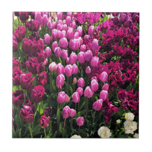 Azulejo Cama de jardín de tulipanes púrpuras
