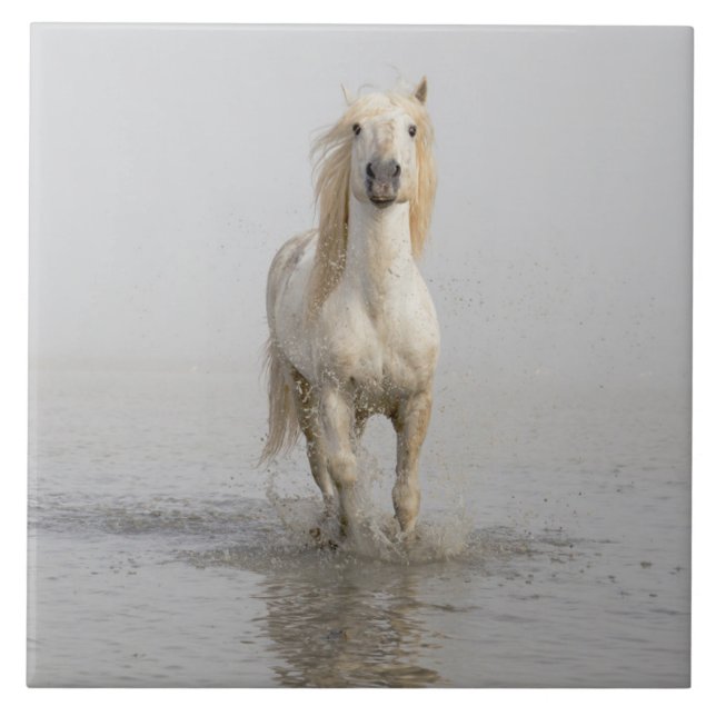 Azulejo Camarga: Caballos corriendo en el agua (Frente)