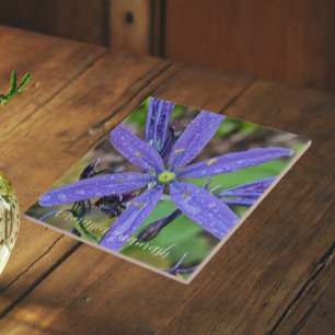 Azulejo Camas Azul Común Floral