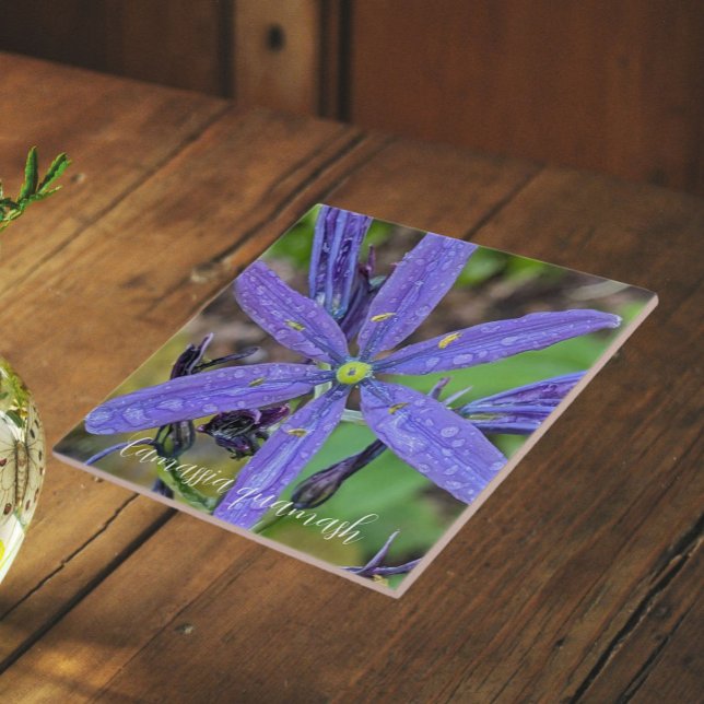 Azulejo Camas Azul Común Floral (In Situ)