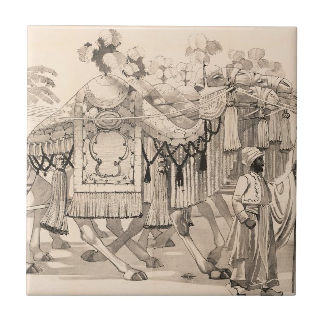 Azulejo Camellos Caminando Vestidos Con Vestido (Frente)