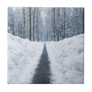 Azulejo Camino de bosque invernal brumoso Paisaje invernal