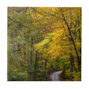Azulejo Camino de grava pequeño bordeado de color de otoño