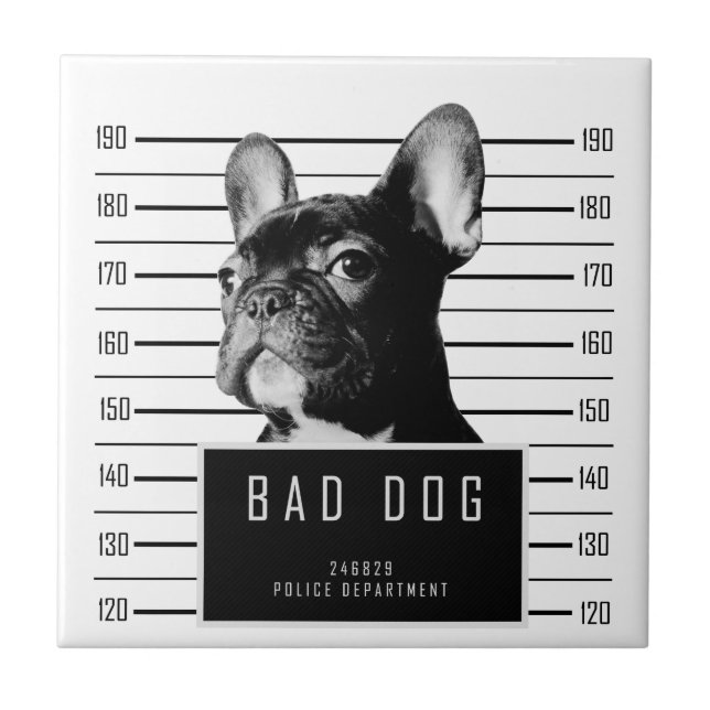 Azulejo Camisa del Mugshot del bulldog francés (Frente)