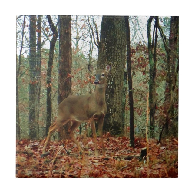 Azulejo Camo, Camouflage Deer (Frente)