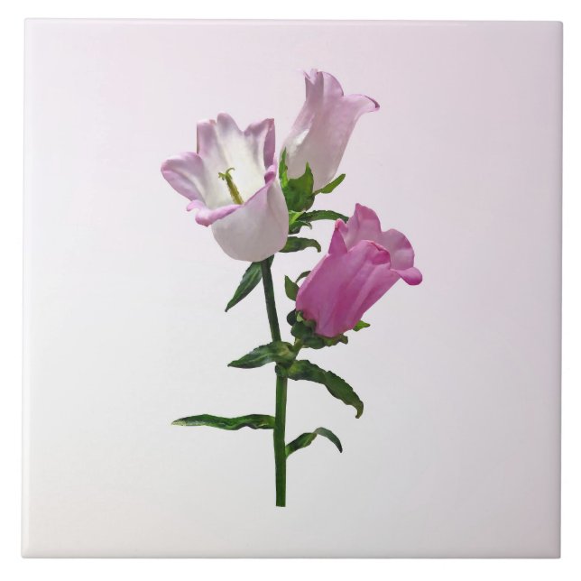 Azulejo Campanas de Canterbury rosadas (Frente)