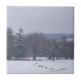 Azulejo "Campo agrícola"