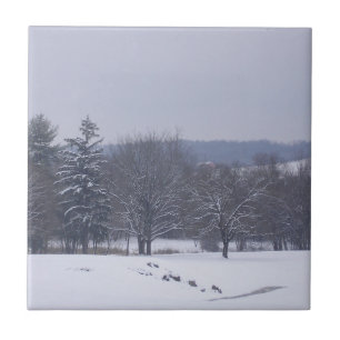 Azulejo "Campo agrícola"