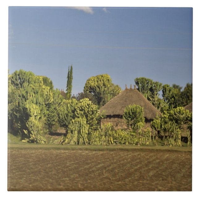 Azulejo Campo de cultivo frente a casas de techo de paja (Frente)
