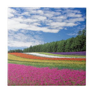 Azulejo Campo de Flores