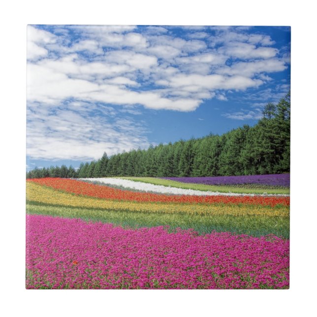 Azulejo Campo de Flores (Frente)