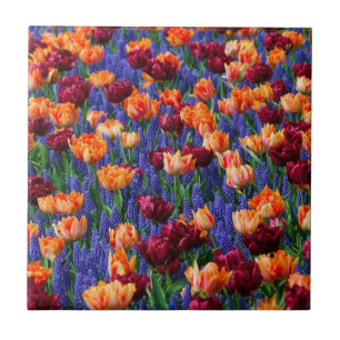 Azulejo Campo de flores azules, naranjas y rojas