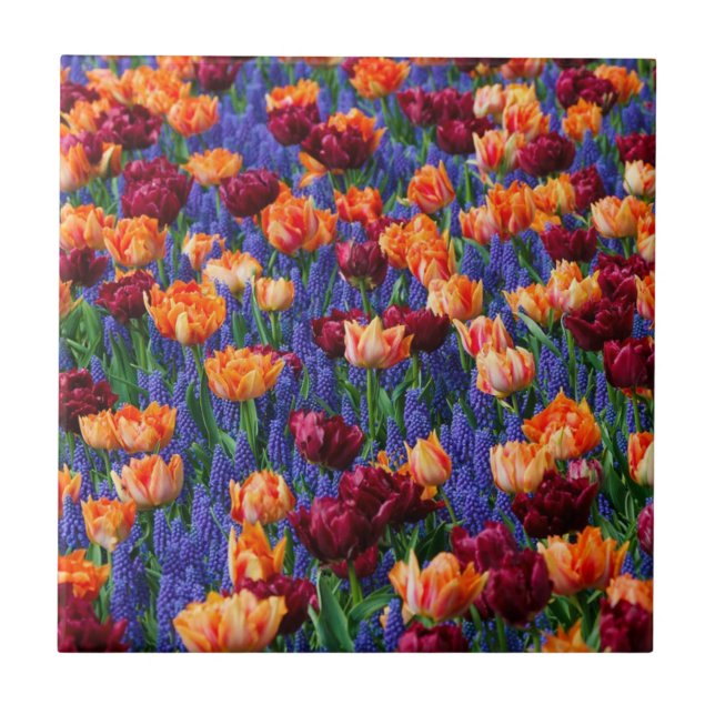 Azulejo Campo de flores azules, naranjas y rojas (Frente)