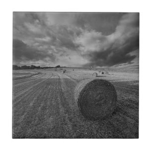 Azulejo Campo de la cebada de B&W