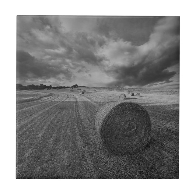 Azulejo Campo de la cebada de B&W (Frente)