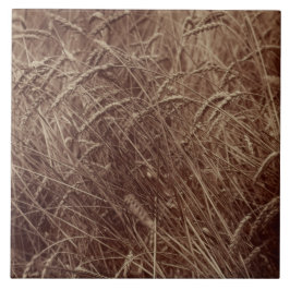 Azulejo Campo de trigo (por Eugène Atget)