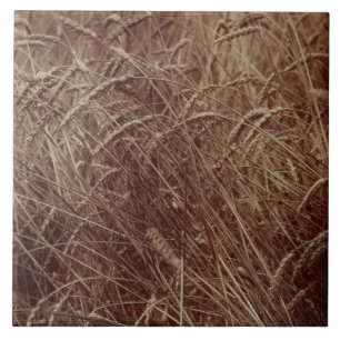 Azulejo Campo de trigo (por Eugène Atget)
