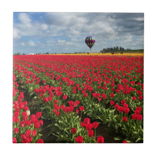 Azulejo Campo de tulipán rojo con globo de aire caliente