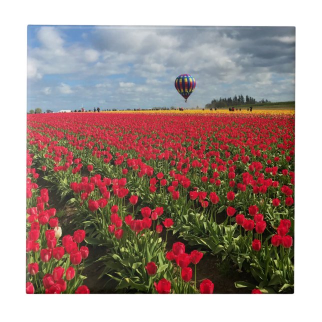 Azulejo Campo de tulipán rojo con globo de aire caliente (Frente)