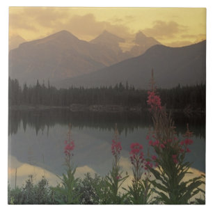 Azulejo Canadá, Alberta, Banff. Escena al amanecer de