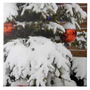 Azulejo Canadá, Alberta, Jasper, Jasper NP. Fairmont 2