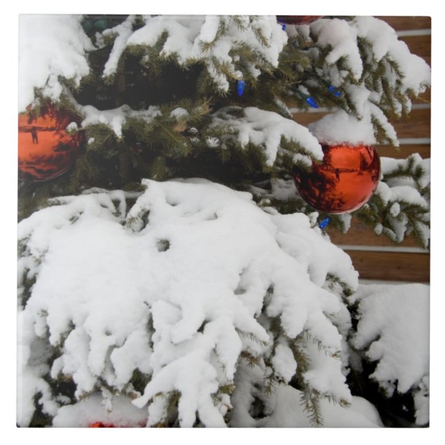 Azulejo Canadá, Alberta, Jasper, Jasper NP. Fairmont 2 (Frente)