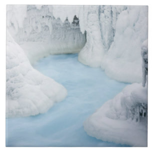 Azulejo Canadá, Alberta, Parque Nacional Jasper.Es