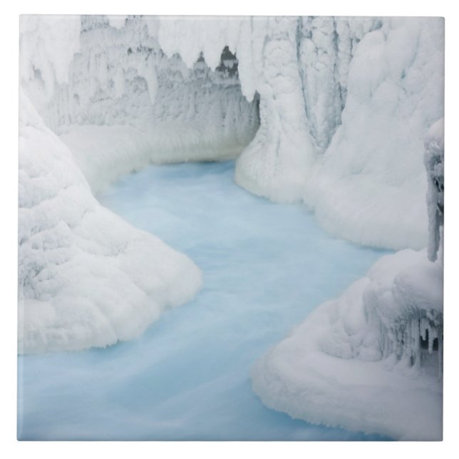 Azulejo Canadá, Alberta, Parque Nacional Jasper.Es (Frente)