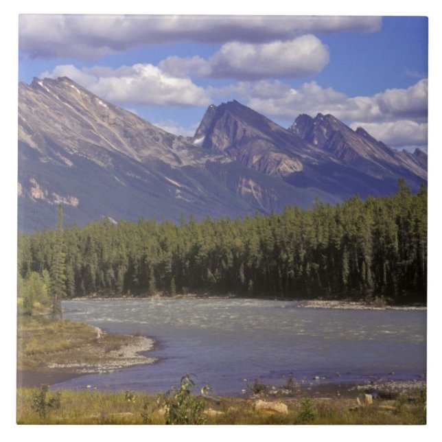 Azulejo Canadá, Alberta, Parque Nacional Jasper.Grande (Frente)
