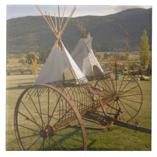 Azulejo CANADÁ, Columbia Británica, Enderby. Tejidos y