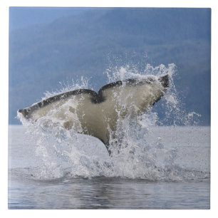 Azulejo Canadá, Columbia Británica, isla de Vancouver,