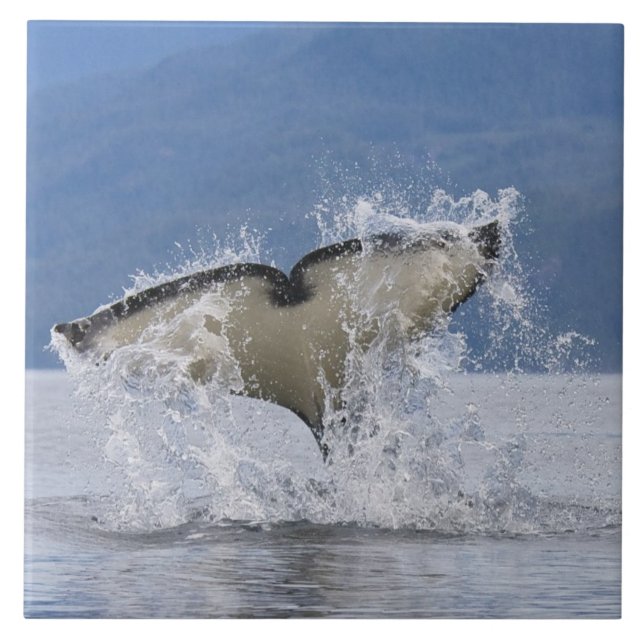 Azulejo Canadá, Columbia Británica, isla de Vancouver, (Frente)