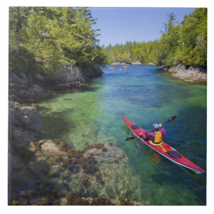 Azulejo Canadá, Columbia Británica, Isla Vancouver.Mar