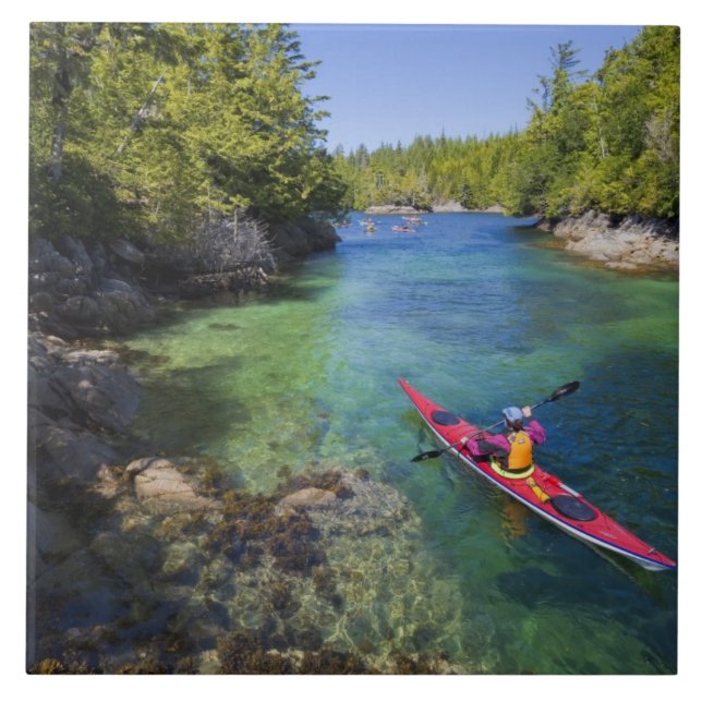 Azulejo Canadá, Columbia Británica, Isla Vancouver.Mar (Frente)