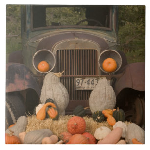 Azulejo CANADÁ, Columbia Británica, Keremeos. Otoño /