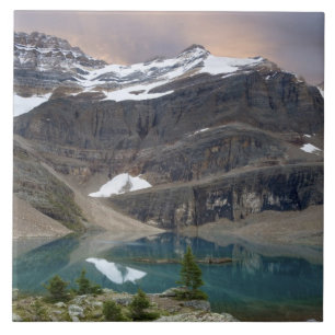 Azulejo Canadá, Columbia Británica, Parque Nacional Yoho.