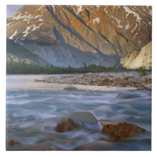 Azulejo Canadá, Columbia Británica, Valle del Río Alsek.
