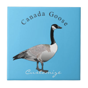 Azulejo Canadá Goose Gander Thunder_Cove