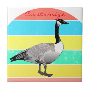Azulejo Canadá Goose Multi-Color Sun Thunder_Cove