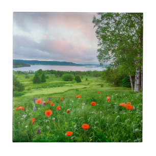 Azulejo Canadá, Nueva Brunswick, , 3