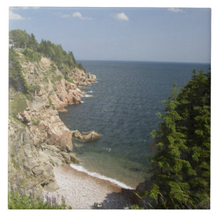 Azulejo Canadá, Nueva Escocia, Isla de Cabo Breton, Cabot