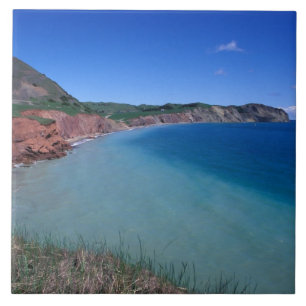 Azulejo Canadá, Quebec, Islas de la Magdalena, Cabo Alrigh