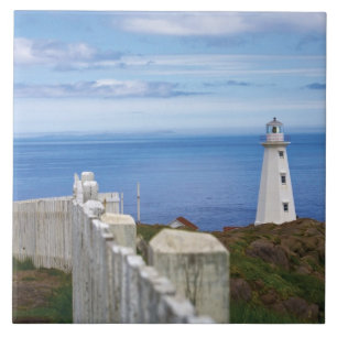 Azulejo Canadá, Terranova y Cabo Spear National 3