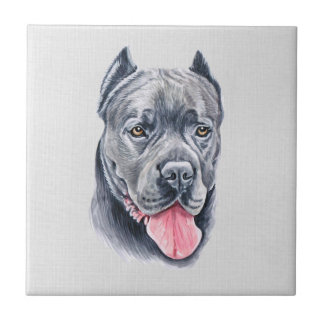 Azulejo Cane Corso Tile