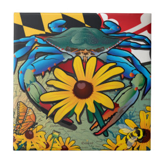 Azulejo Cangrejo azul Maryland Susan de ojos negros